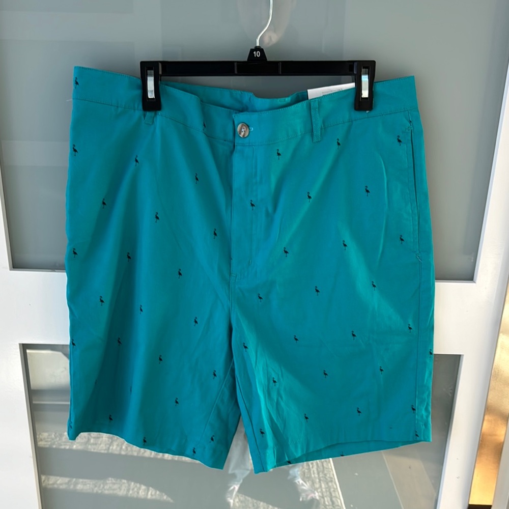 Teal Patterned Shorts